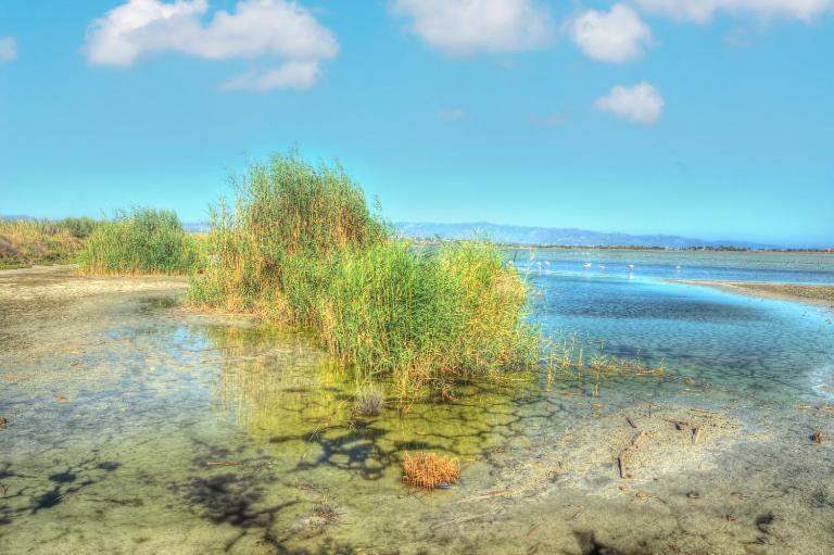 Quartu SantʼElena Zen Beach Home מראה חיצוני תמונה